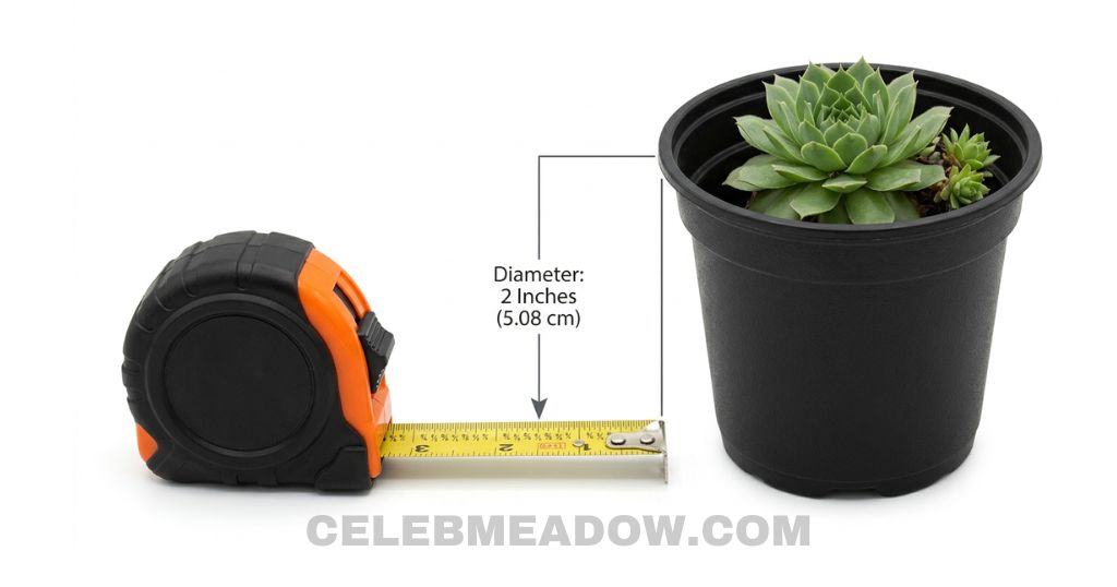 2-inch Succulent Starter Pot