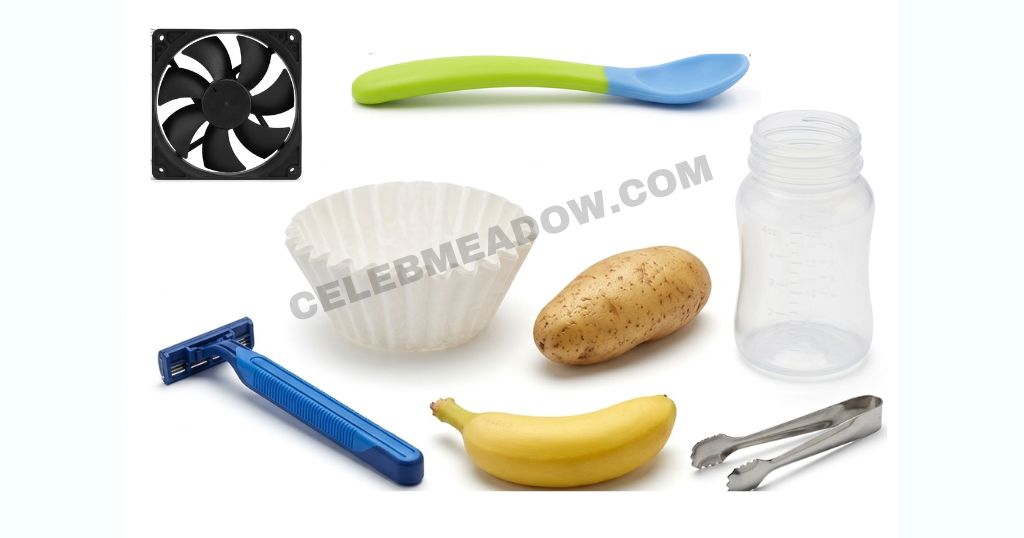 5 Inches Long: 13 Everyday Objects That Are Exactly This Size