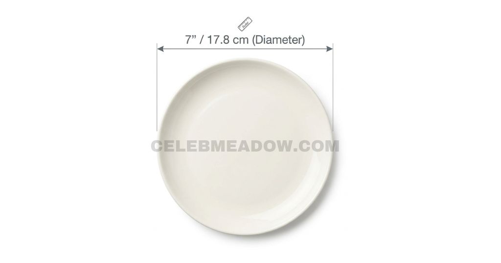 Salad / Dessert Plate That measure 7 Inches long