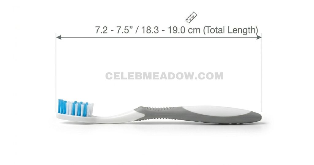 Standard Toothbrush measure 7 Inches long