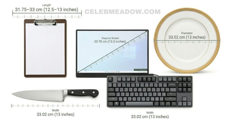 13 Inches Long: 17 Real-Life Things That Are 13 Inches Long or Big