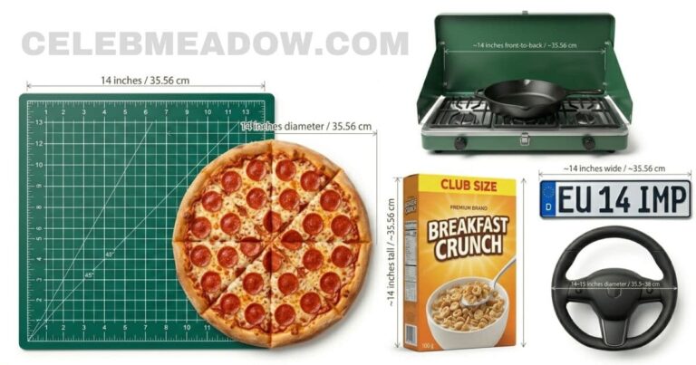 14 Inches Long: 14 Real-Life Things That Are 14 Inches Long or Big
