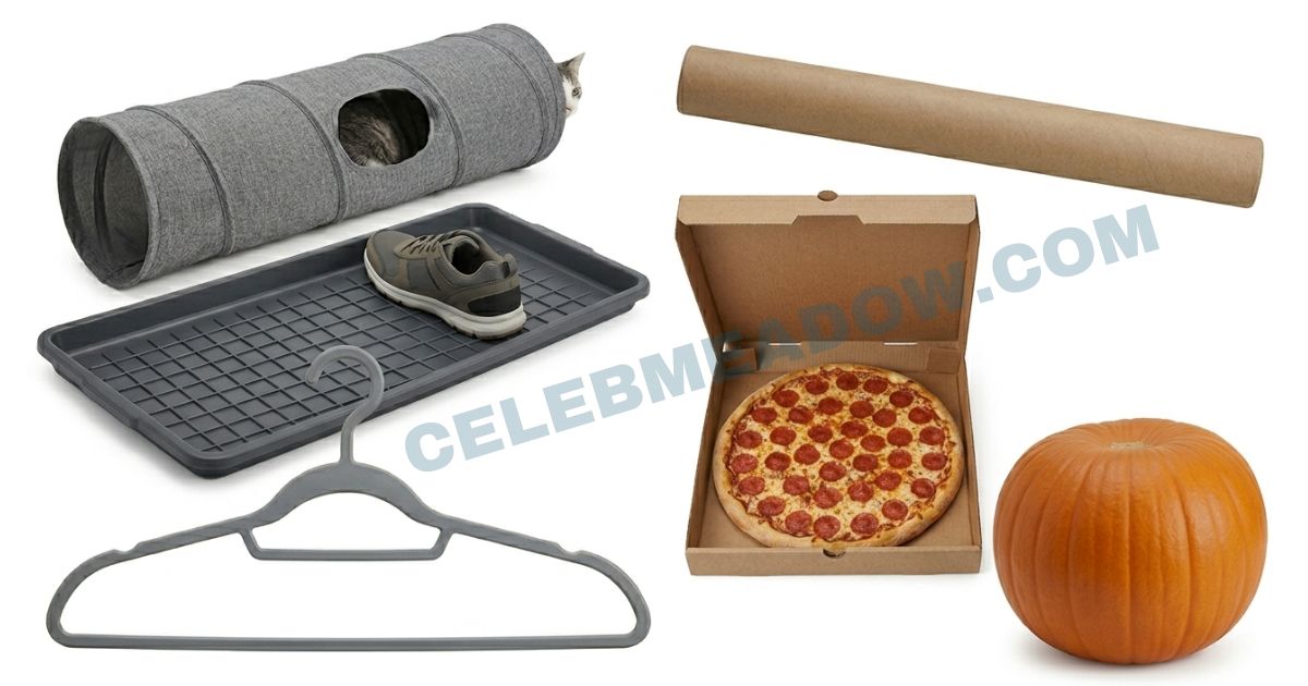 15 Inches Long: 15 Real-Life Things That Are 15 Inches Long or Big