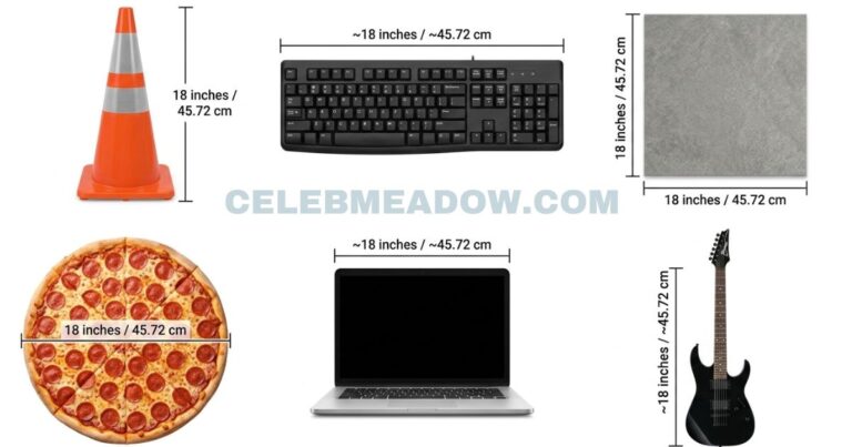 18 Inches Long: 16 Real-Life Things That Are 18 Inches Long or Big