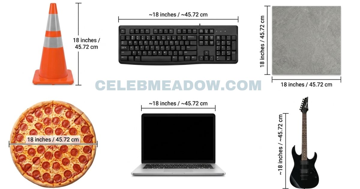 18 Inches Long: 16 Real-Life Things That Are 18 Inches Long or Big