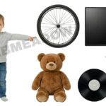 26 Inches Long: 17 Real-World Things That Are 26 Inches Long or Big