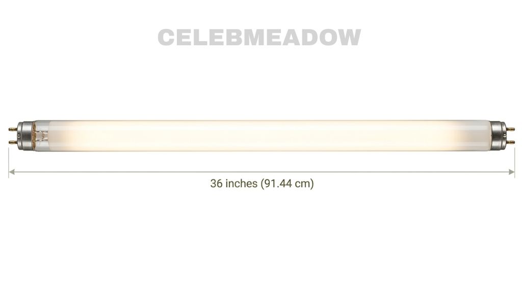 Single fluorescent tube light bulb measuring exactly 36 inches in length