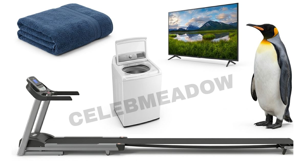 57 Inches Long: 15 Things That Help You Picture 57 Inches Tall