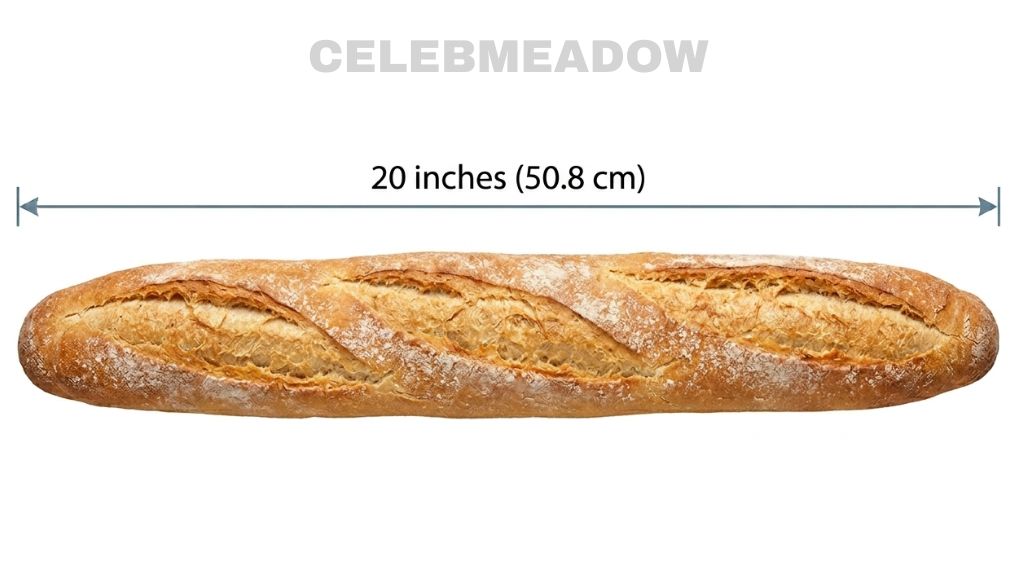 A traditional French baguette laid flat, measuring approximately 20 inches in length