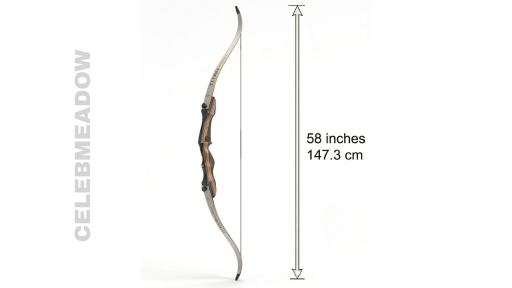 An adult recurve bow standing upright at 58 inches tip to tip, shown against a plain background for scale