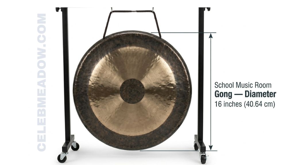 School Music Room Gong that is 16 Inches Long