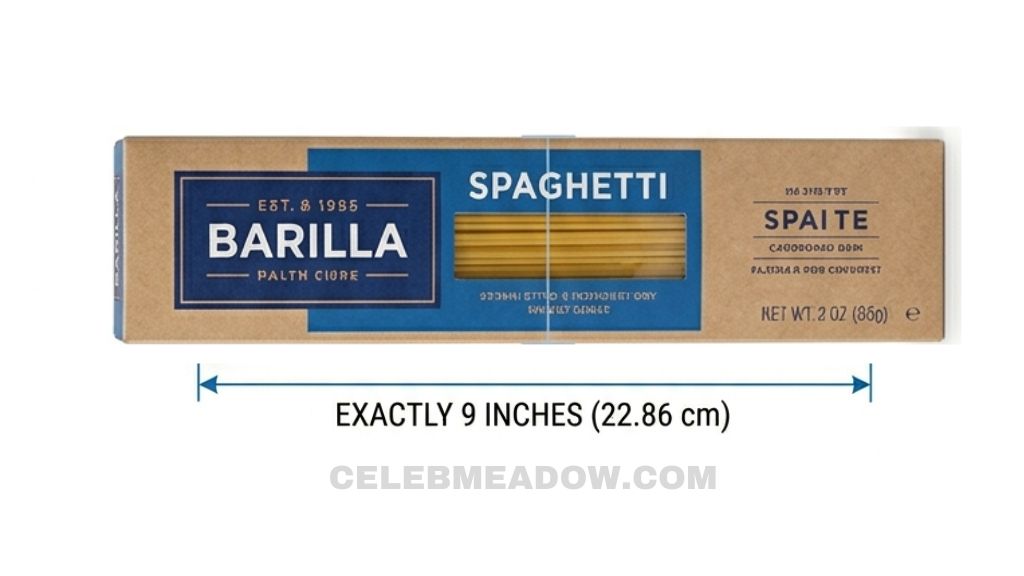 Barilla-style spaghetti pasta box standing upright showing 9-inch height