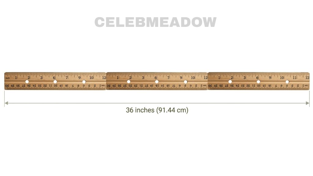 Three standard 12-inch rulers placed end to end to show 36 inches total length