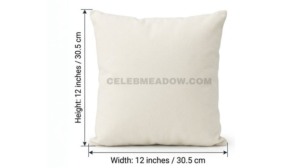 Square 12x12 inch decorative throw pillow sitting on a sofa cushion

