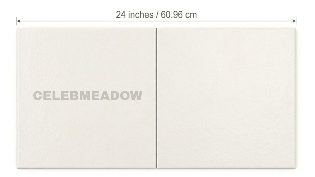 Two Standard Floor Tiles Side by Side 24 Inches Long