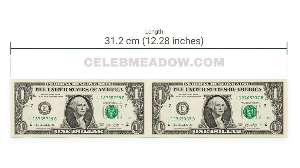 Two US Dollar Bills End to End (Total Length) that is 13 Inches long