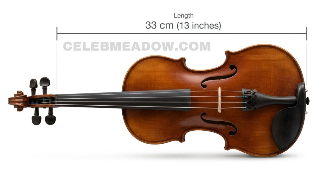 ¾ Size Violin Body that is 13 Inches long