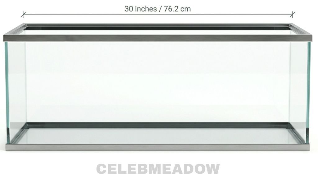 20-Gallon Long Aquarium 70 cm Big