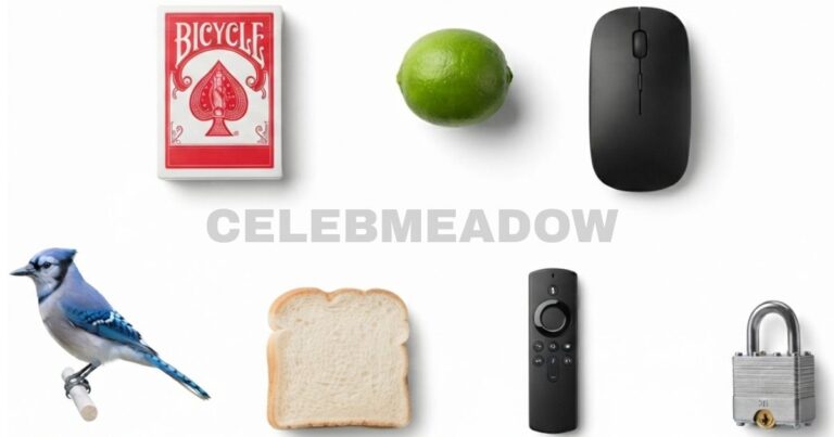 What Weighs 3 Ounces? 15 Everyday Things That Weigh 3 Ounces