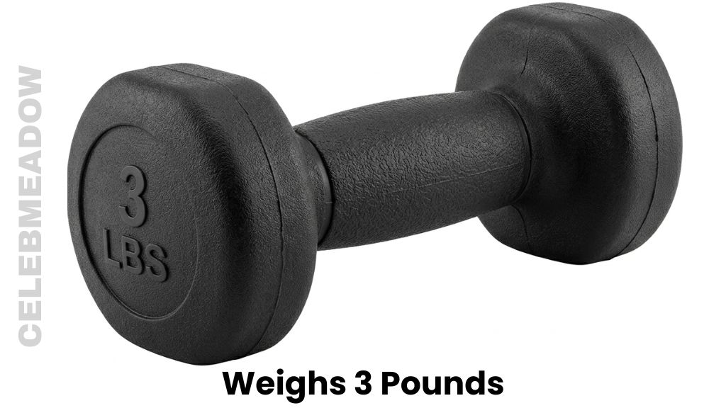 A 3-Pound Hand Dumbbell Weigh 3 Pounds