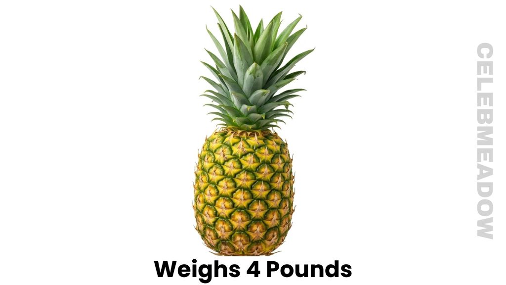 A Large Pineapple Weigh 4 Pounds