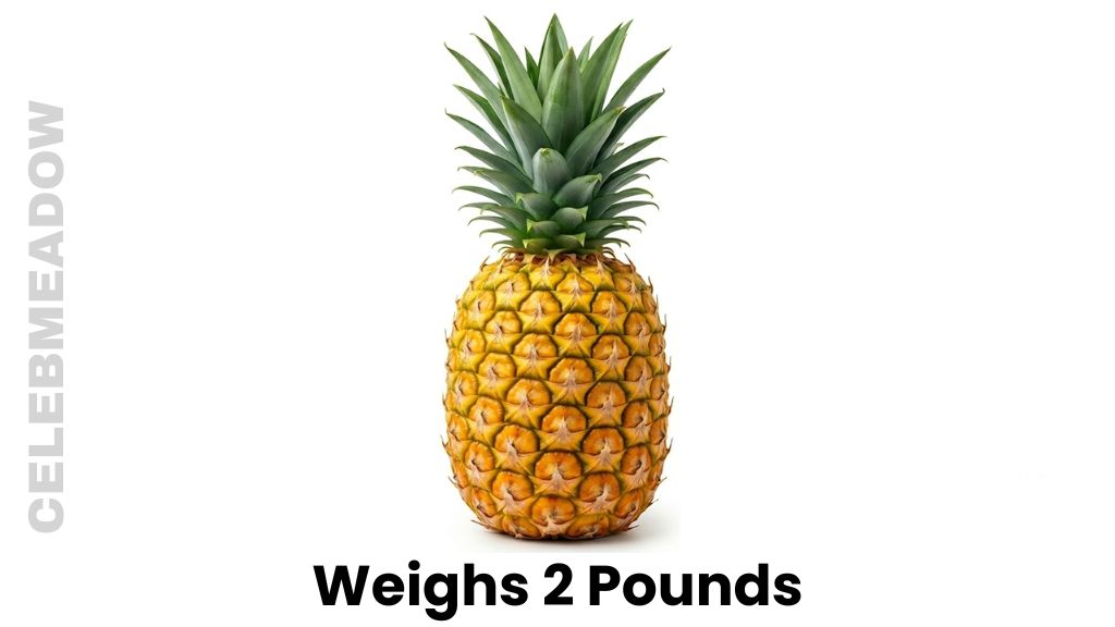 A Large Ripe Pineapple Weigh 2 Pounds