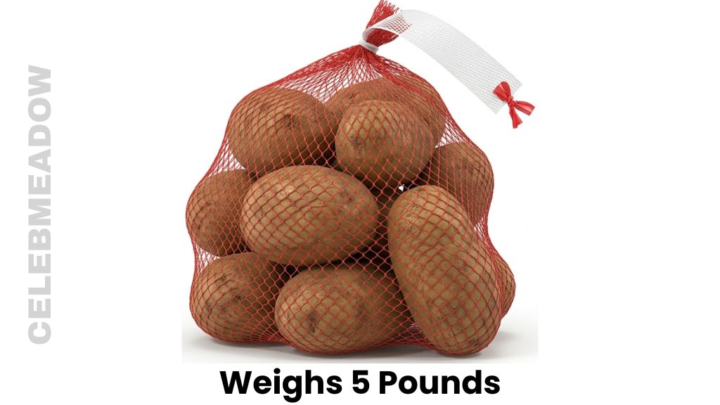 A Mesh Bag of Russet Potatoes Weighs 5 Pounds