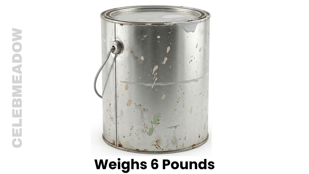 A Partially Used Gallon Can of Paint Weigh 6 Pounds