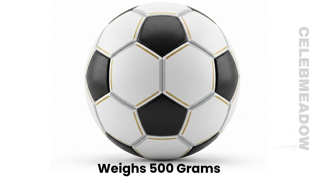 A Professional Soccer Ball Weigh 500 Grams