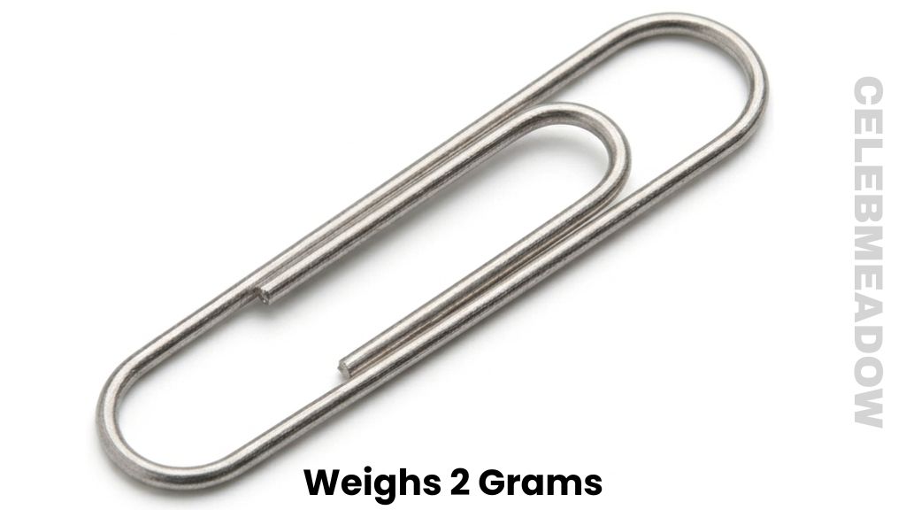 A Single Jumbo Paperclip Weigh 2 Grams