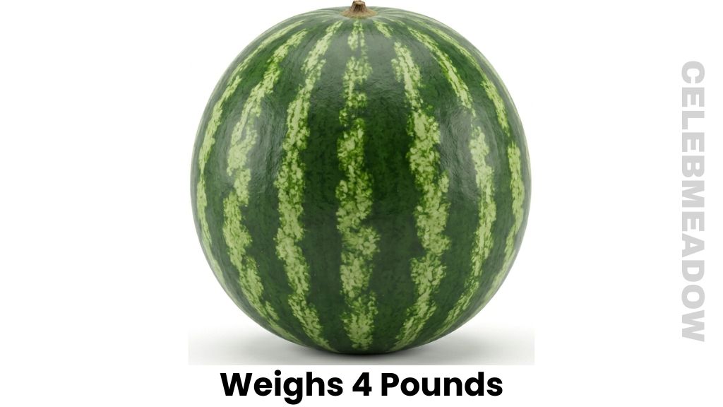 A Small Personal Watermelon Weigh 4 Pounds