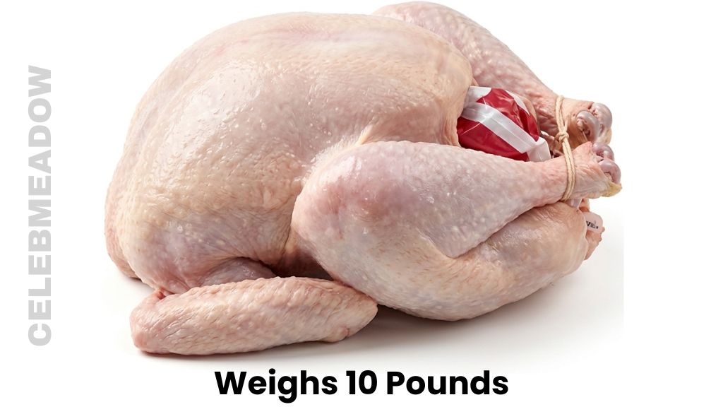A Small Whole Thanksgiving Turkey Weighs 10 Pounds