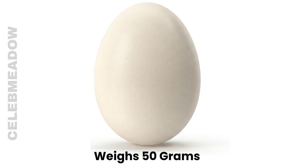 A Whole Medium Chicken Egg Weigh 50 Grams