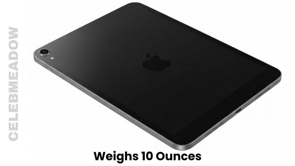 An Apple iPad Mini Weigh 10 Ounces