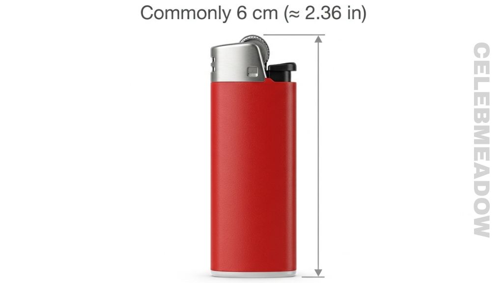 BIC Mini Lighter That Is 6 cm Long