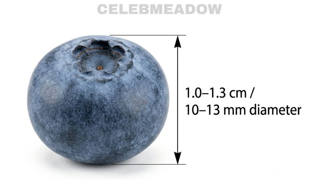 Blueberry That Is 1 cm Big