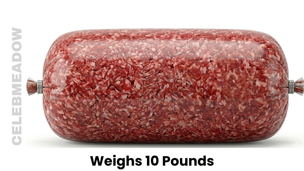Commercial “Chub” Roll of Ground Beef Weigh 10 Pounds
