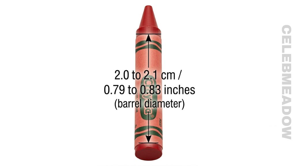 Crayola Crayon That Is 2 cm Big
