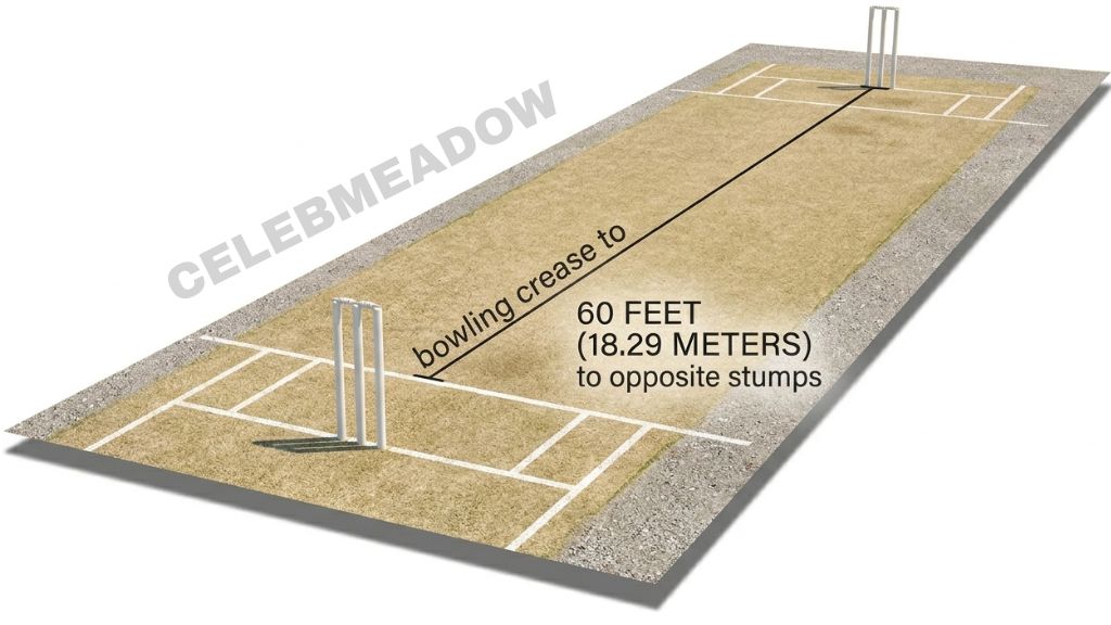 Cricket Pitch That Is 60 Feet Long
