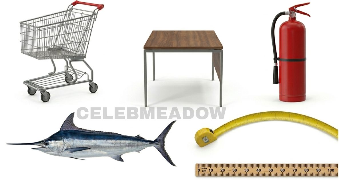 3 Feet is 1 Yard: 12 Common Objects That Show You How Long is 3 Feet