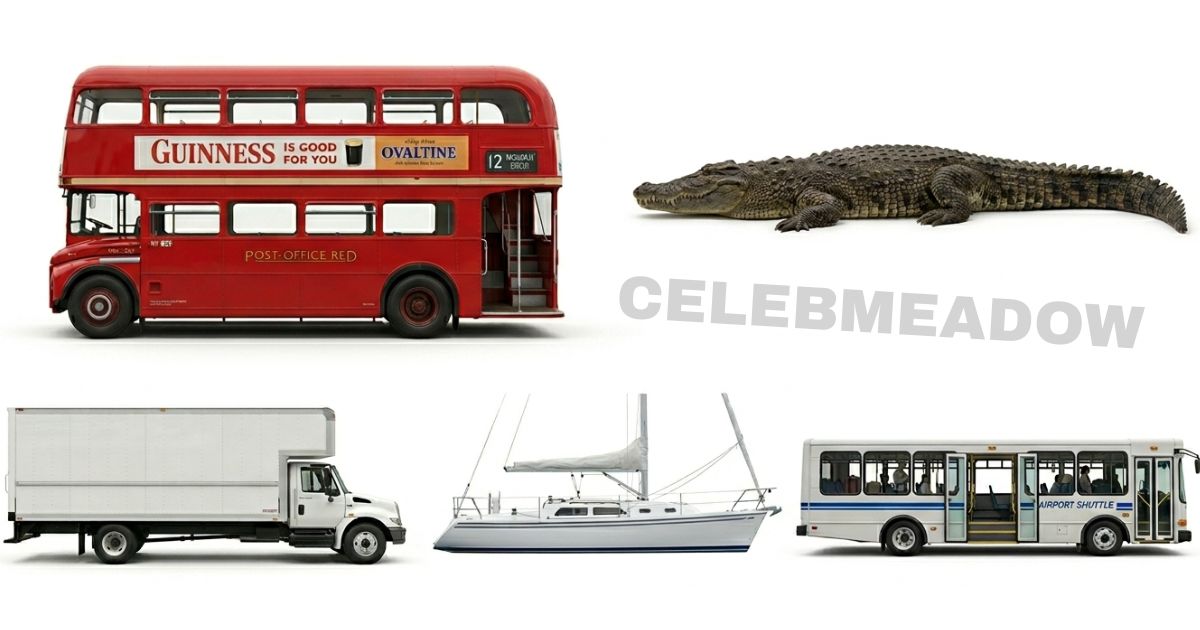 30 Feet Long: 14 Common Things That Are 30 Feet Long or Big