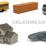 40 Feet Long: 13 Common Things That Are 40 Feet Long or Big