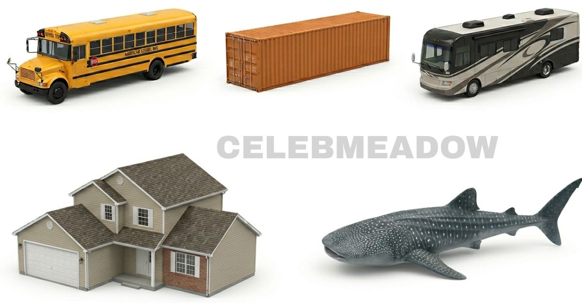 40 Feet Long: 13 Common Things That Are 40 Feet Long or Big