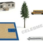 80 Feet Long: 11 Common Things That Are 80 Feet Long or Big