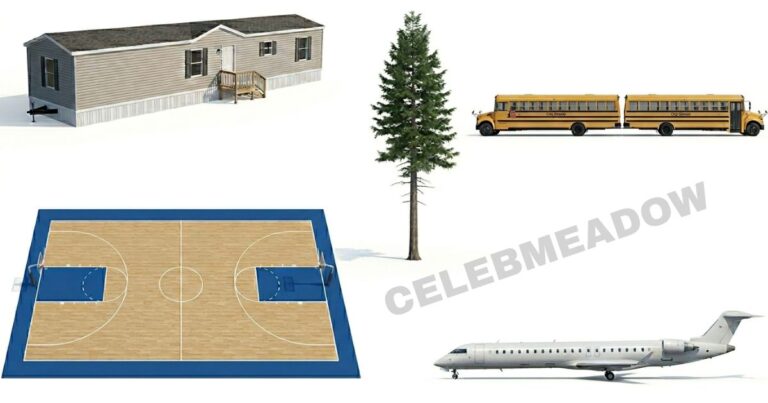 80 Feet Long: 11 Common Things That Are 80 Feet Long or Big