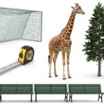 25 Feet Long: 12 Common Things That Show How Far It Is