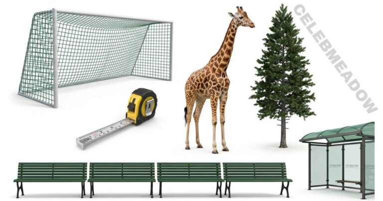 25 Feet Long: 12 Common Things That Show How Far It Is