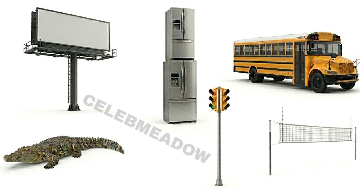 15 Feet Long: 16 Things That Show You Exactly How Big It Is