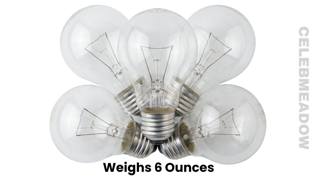 Five 60-Watt Incandescent Light Bulbs Weighs 6 Ounces