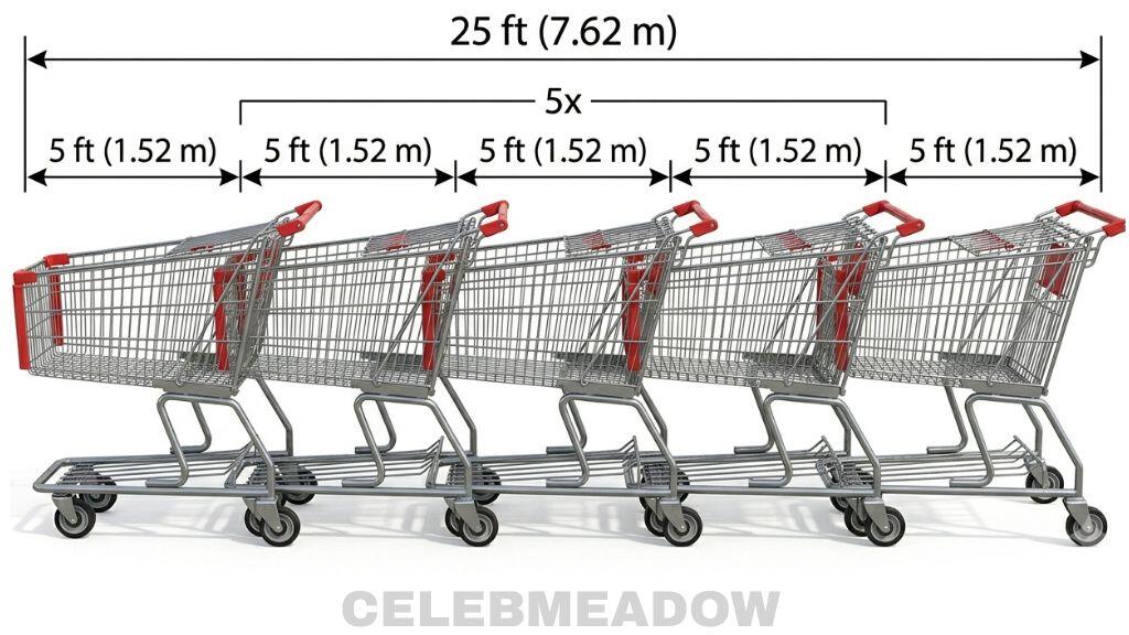 Five Standard Shopping Carts Lined Up That Is 25 Feet Long